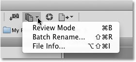 The Refine option in Adobe Bridge CS4. Image © 2010 Photoshop Essentials.com.