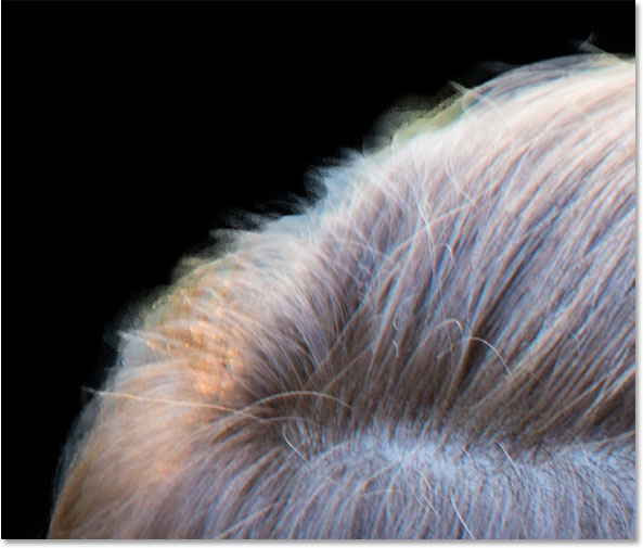 An area of hair that still needs further refinement. 