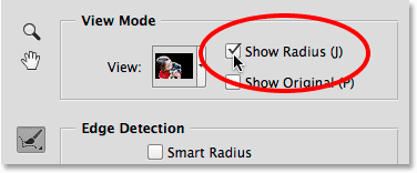 Turning on the Show Radius option in Refine Edge. 