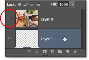Turning off the top layer and selecting the bottom layer. Image © 2012 Photoshop Essentials.com