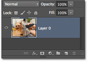 The Background layer has been renamed Layer 0. Image © 2012 Photoshop Essentials.com