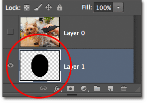The preview thumbnail shows the filled area on Layer 1. Image © 2012 Photoshop Essentials.com