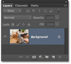 The Background layer in the Layers panel. Image © 2012 Photoshop Essentials.com