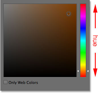 The main hue strip in the Color Picker. 