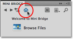The Home Page icon in Mini Bridge. Image © 2010 Steve Patterson, Photoshop Essentials.com