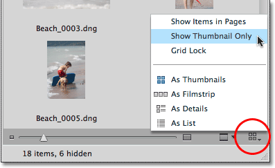 Selecting Show Thumbnail Only from the View menu in Mini Bridge. Image © 2010 Steve Patterson, Photoshop Essentials.com