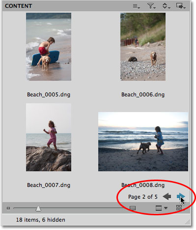 The image thumbnails appearing as pages in Mini Bridge. Image © 2010 Steve Patterson, Photoshop Essentials.com