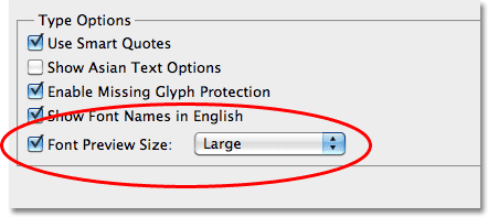 The Font Preview Size option in the Type Preferences in Photoshop CS5. Image © 2010 Steve Patterson, Photoshop Essentials.com