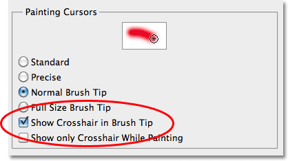 The Show Crosshair in Brush Tip option in the Cursor Preferences in Photoshop CS5. Image © 2010 Steve Patterson, Photoshop Essentials.com