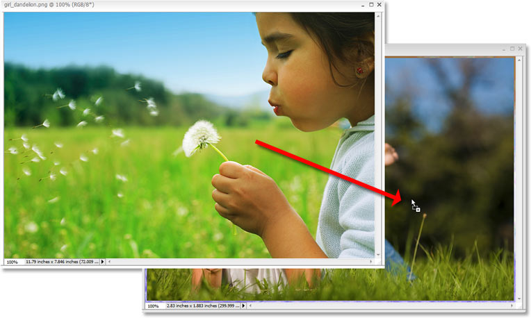 Adobe Photoshop Tutorials image.