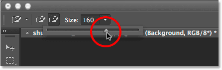 The Brush Size slider in the Options Bar. 