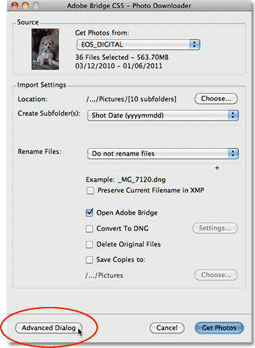 The standard Photo Downloader in Adobe Bridge CS5. Image © 2011 Photoshop Essentials.com.