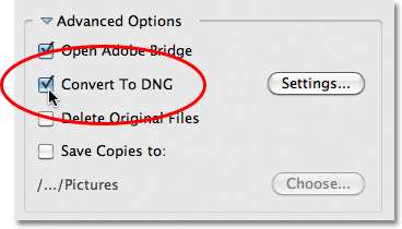 The Convert to DNG option in the Photo Downloader in Adobe Bridge CS5. Image © 2011 Photoshop Essentials.com.
