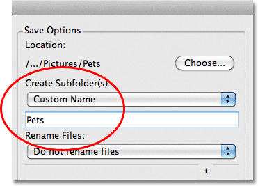 The Custom Name option in the Photo Downloader in Adobe Bridge CS5. Image © 2011 Photoshop Essentials.com.