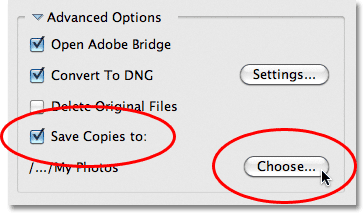 The Save Copies To option in the Photo Downloader in Adobe Bridge CS5. Image © 2011 Photoshop Essentials.com.