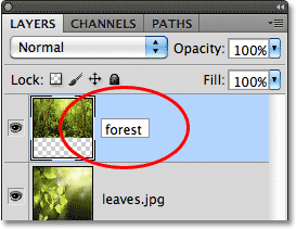 Renaming a layer in the Layers panel. Image © 2011 Photoshop Essentials.com