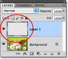 A new layer named Layer 1 appears in the Layers panel. Image © 2011 Photoshop Essentials.com
