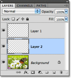 Layer 2 has been moved below Layer 1 in the Layers panel. Image © 2011 Photoshop Essentials.com