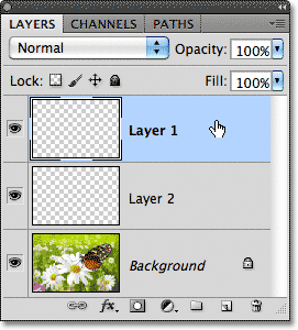 Clicking on Layer 1 in the Layers panel to select it. Image © 2011 Photoshop Essentials.com