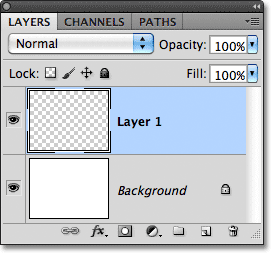 A new blank layer named Layer 1 appears in the Layers panel. Image © 2011 Photoshop Essentials.com