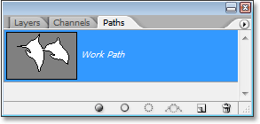 Photoshop's Paths palette showing the dolphin outline.