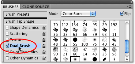The Dual Brush option in the Brushes panel in Photoshop. Image © 2010 Photoshop Essentials.com