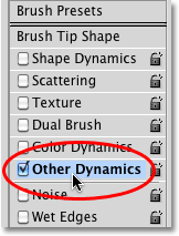 The Other Dynamics section of the Brushes panel in Photoshop. Image © 2010 Photoshop Essentials.com