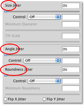 The Size, Angle and Roundness headings in the Shape Dynamics options. Image © 2010 Photoshop Essentials.com