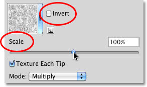 The Invert and Scale options in the Texture dynamics section of the Brushes panel in Photoshop. Image © 2010 Photoshop Essentials.com