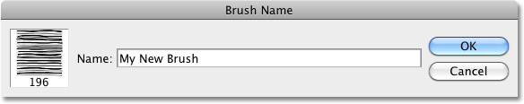 Naming the new brush in Photoshop. Image © 2010 Photoshop Essentials.com