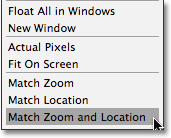 The Match Zoom and Location option in Photoshop CS4. Image © 2009 Photoshop Essentials.com.