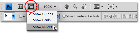 The View Extras icon in the new Application Bar in Photoshop CS4. Image © 2009 Photoshop Essentials.com.
