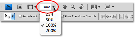 The Zoom Level icon in the new Application Bar in Photoshop CS4. Image © 2009 Photoshop Essentials.com.