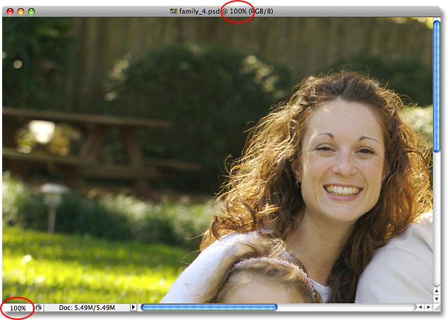 The image has zoomed out to 100%. Image © 2009 Photoshop Essentials.com.