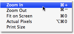 The zoom options under the View menu in Photoshop. Image © 2009 Photoshop Essentials.com.