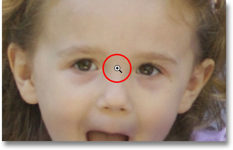 The default behavior of the Zoom Tool is 'zoom in'. Image © 2009 Photoshop Essentials.com.