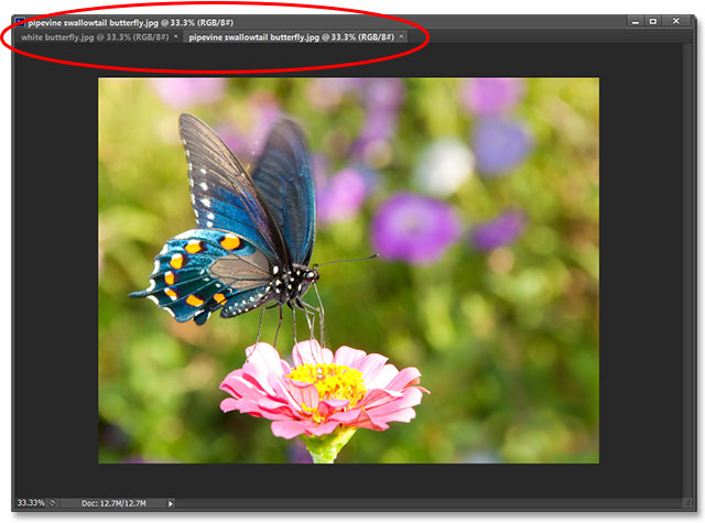 Two images docked together as tabs inside a floating window. Image © 2013 Photoshop Essentials.com