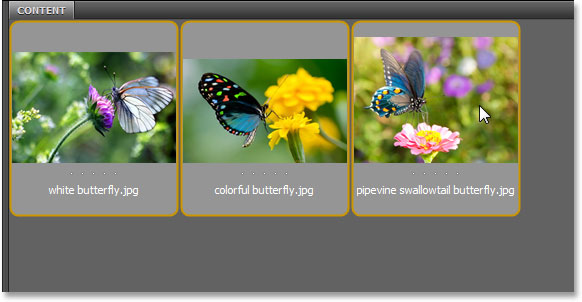 Selecting three images to open in Adobe Bridge. Image © 2013 Steve Patterson, Photoshop Essentials.com