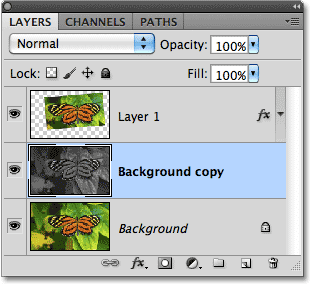 Desaturating a copy of the Background layer in Photoshop. Image © 2010 Photoshop Essentials.com