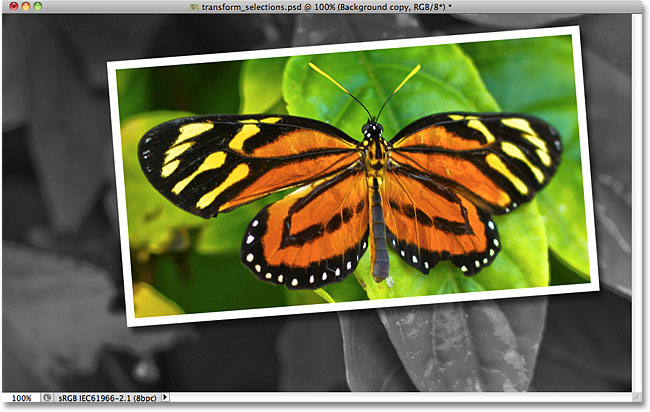 Photoshop picture-in-picture effect. Image © 2010 Photoshop Essentials.com