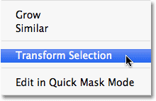 Selecting the Transform Selection command in Photoshop. Image © 2010 Photoshop Essentials.com