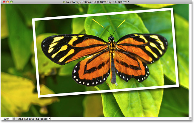 The Stroke and Drop Shadow layer styles appied to the selected area. Image © 2010 Photoshop Essentials.com