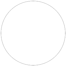 A circular path shape drawn with the Ellipse Tool in Photoshop. Image © 2011 Photoshop Essentials.com
