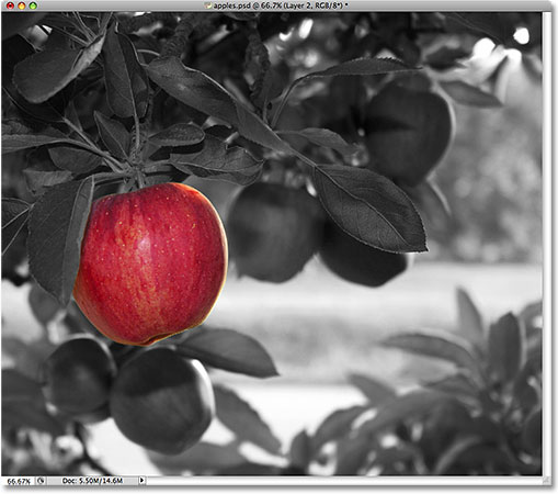 The apple remains in full color. Image © 2009 Photoshop Essentials.com