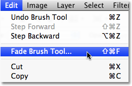 The Fade command in Photoshop. Image © 2009 Photoshop Essentials.com