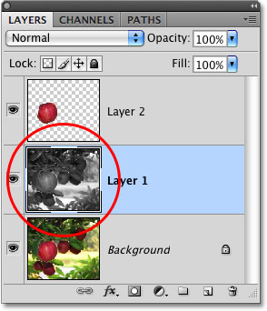 Desaturating a layer in Photoshop. Image © 2009 Photoshop Essentials.com