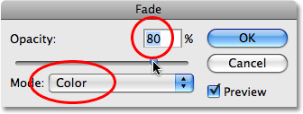 Adjusting the previous edit with the Fade command in Photoshop. Image © 2009 Photoshop Essentials.com