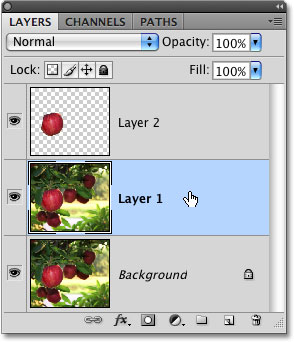 Clicking on a layer to select it in Photoshop. Image © 2009 Photoshop Essentials.com