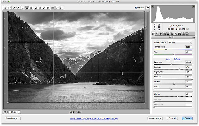 Cropping a grayscale image in Adobe Camera Raw 8. Image © 2013 Steve Patterson, Photoshop Essentials.com