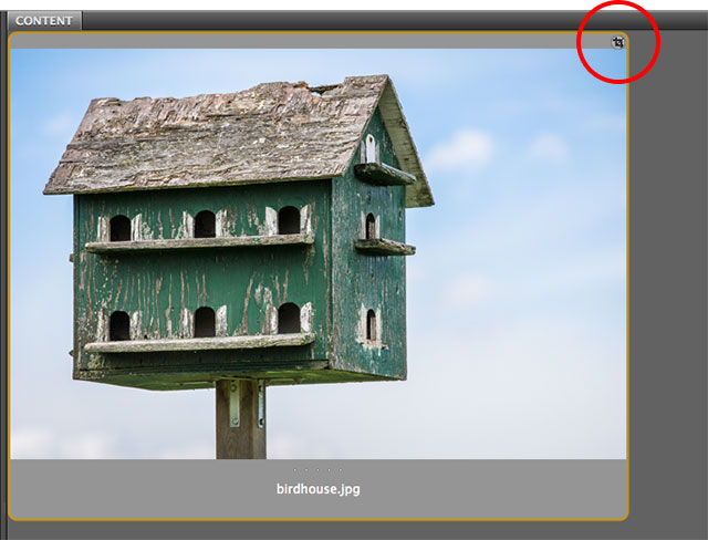 Adobe Bridge showing the crop icon in the image thumbnail. Image © 2013 Steve Patterson, Photoshop Essentials.com